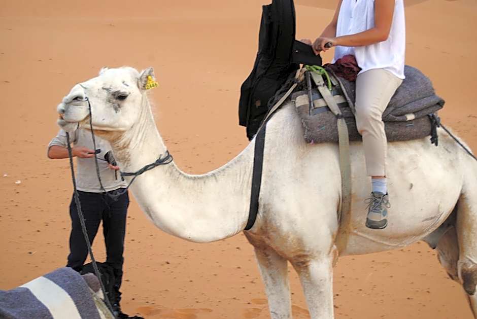 Desert Camel Trekking Camp