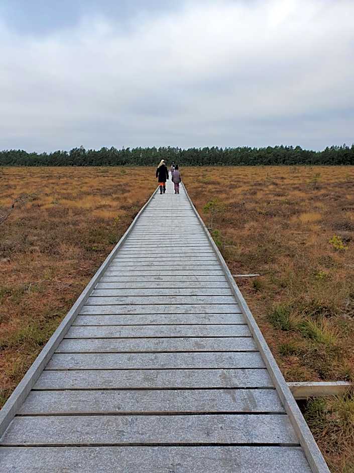 Bokskogens Guesthouse