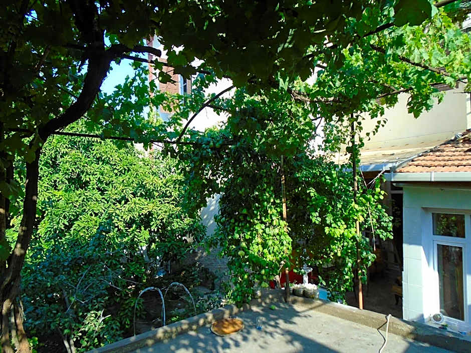 LOTUS GARDEN HOSTEL