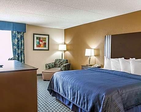 1 King Bed Suite Nonsmoking