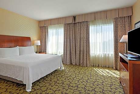 One-Bedroom King Suite