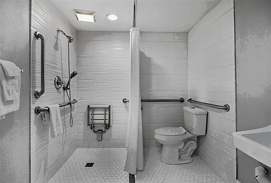Photo 1 of 4 of 1 King Bed, Mobility Accessible, Grab Bars, Bathtub