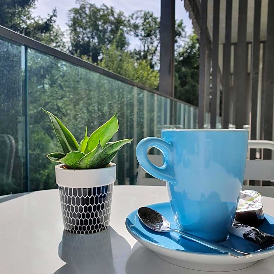 Hôtel de la Source Yverdon-les-Bains