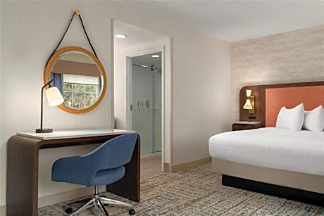 King Studio Suite with Sofa Bed - Non-Smoking