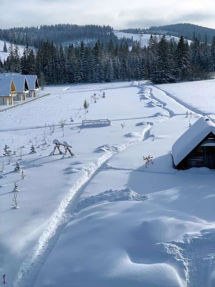 Framptons Luxury Apartments - Dla dorosłych i dzieci 12 plus - Adults and children 12 plus