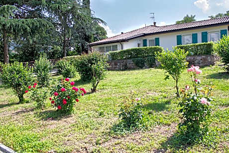 Deluxe Double or Twin Room with Mountain View