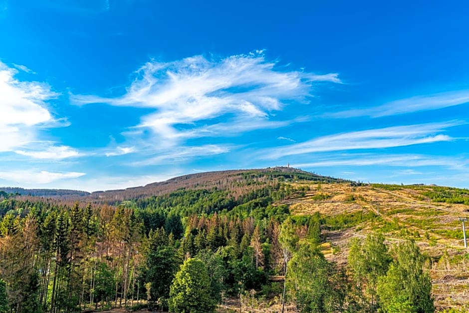 AHORN Harz Hotel Braunlage