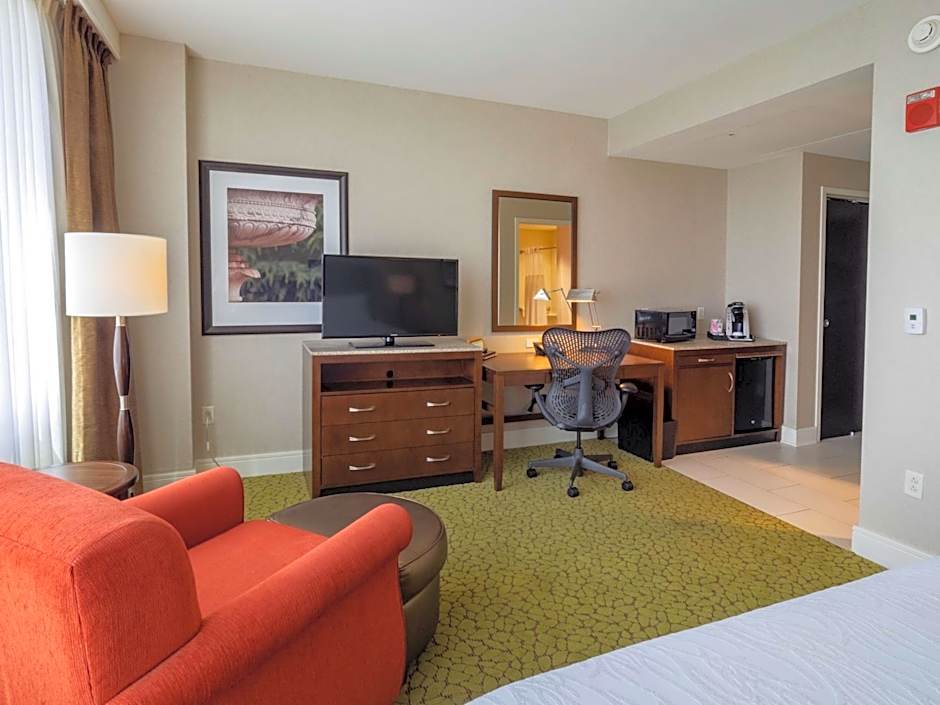 Photo 1 of 5 of Junior 1 King Bed with Sofabed Suite