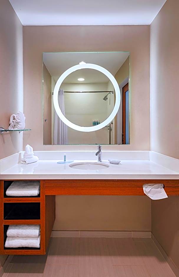 SpringHill Suites by Marriott Dallas Richardson/Plano