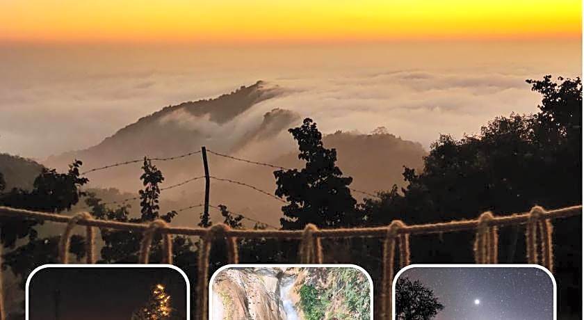 The Blue Jay Hostel - Dorms & Rooms Hotel