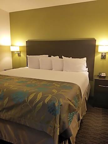 Studio King Suite - Non-Smoking