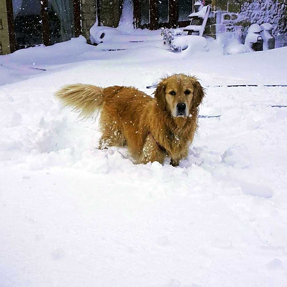 The Old Stables Bed & Breakfast