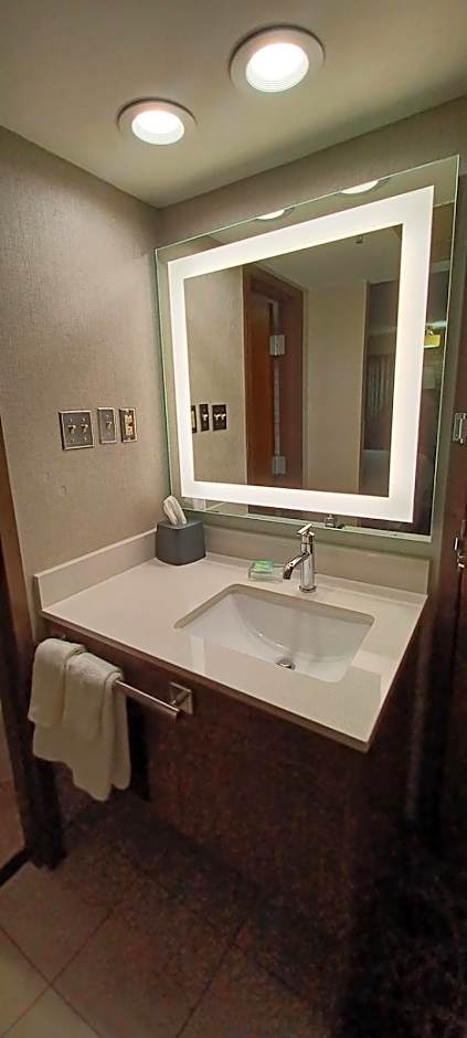 Holiday Inn McAllen Medical Center Area By IHG