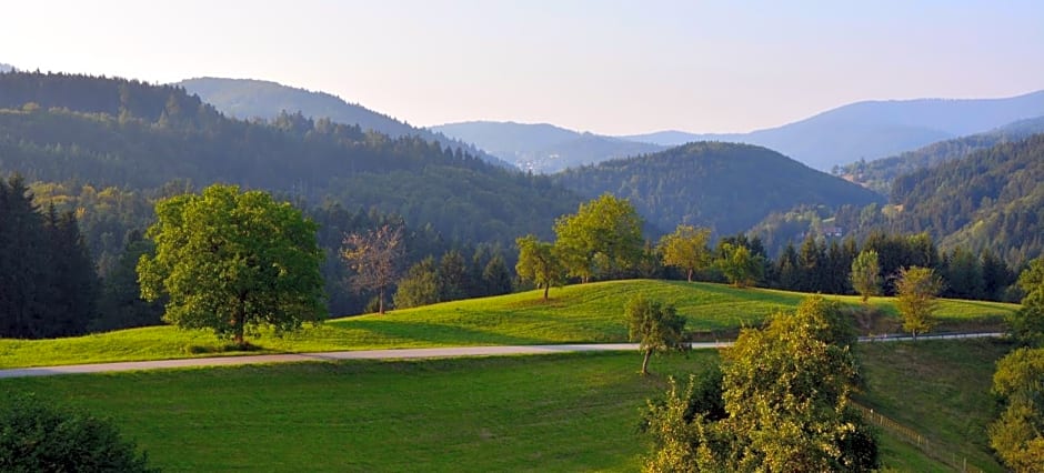 Genusshotel Hirschen - Erholung im Grünen (Südschwarzwald)