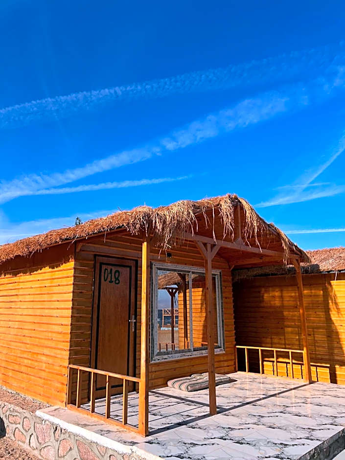 Full Moon Camp Sinai