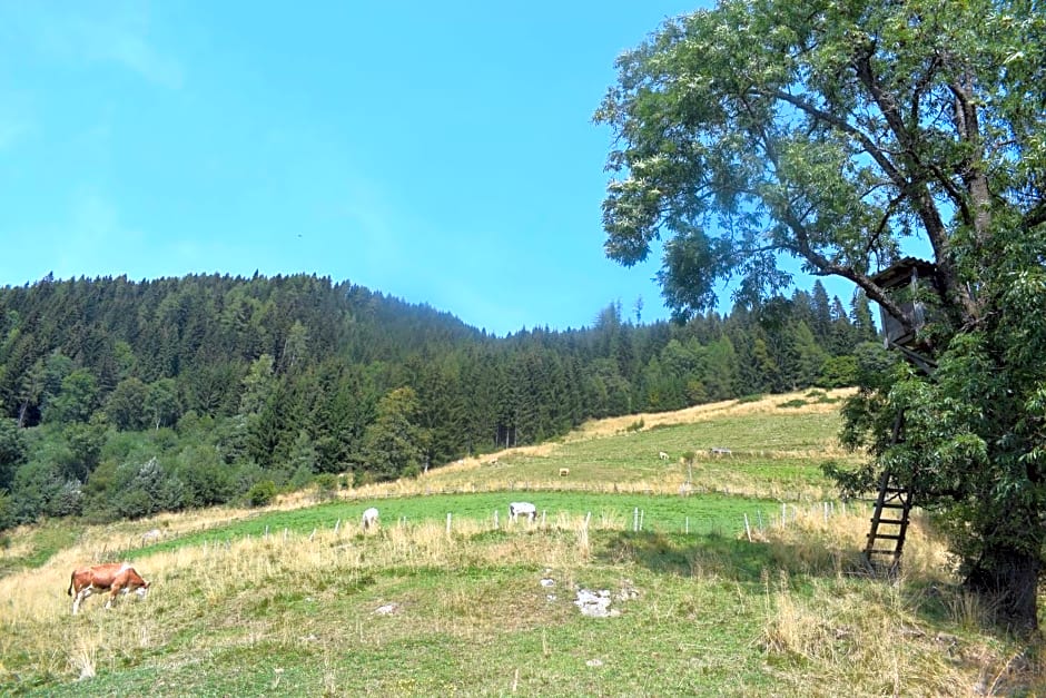 Ferienhaus Schleinzer