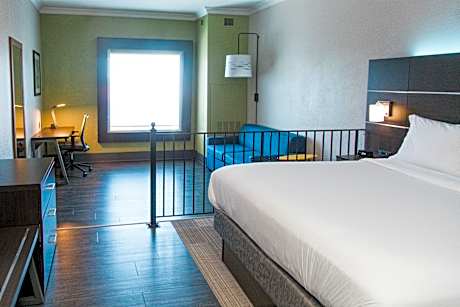 1 King Bed Suite Addl Living Area