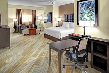 1 KING BED STUDIO SUITE NONSMOKING