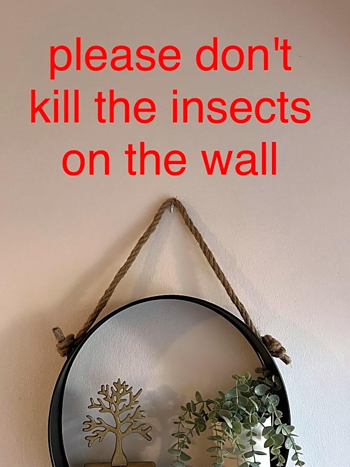 Makenzie 2 rooms first line beach