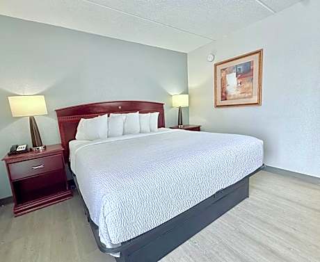 King Room - Pet Friendly/Non-Smoking