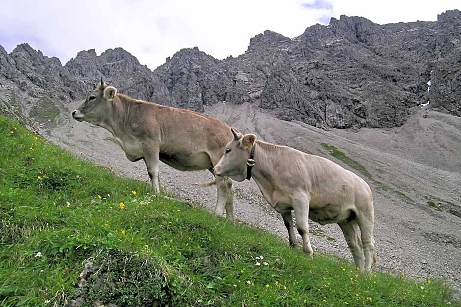 Naturhotel Lärchenhof