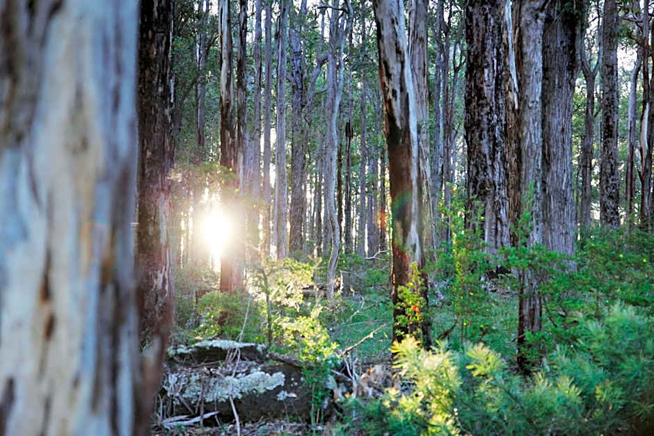 Scarlet Woods Chalets