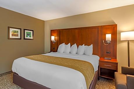 King Room - Non-Smoking