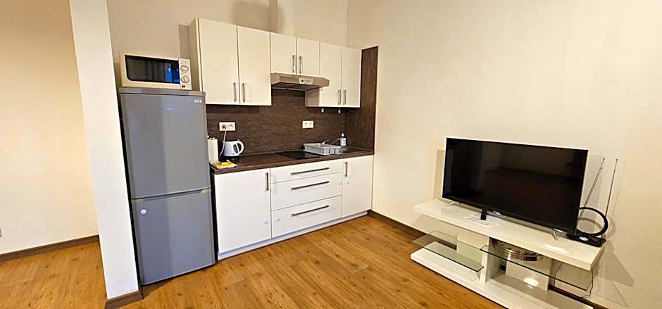 MVA House Teplice, Šanovský park