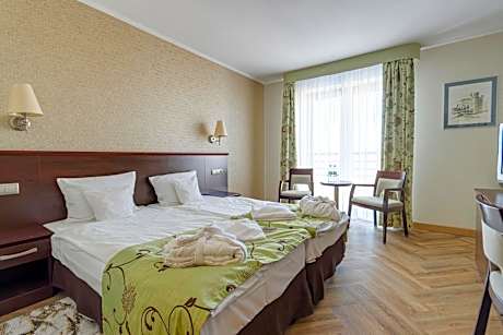 Double Room with Mountain View