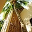 Nikau Hotel El Cuyo - Adults Only