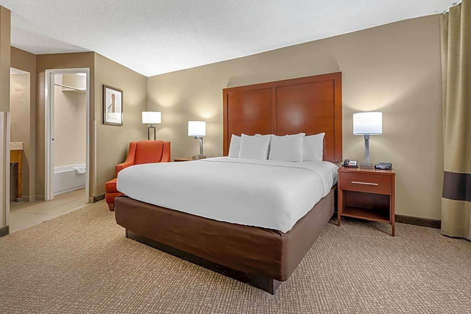 Comfort Inn Memphis Downtown