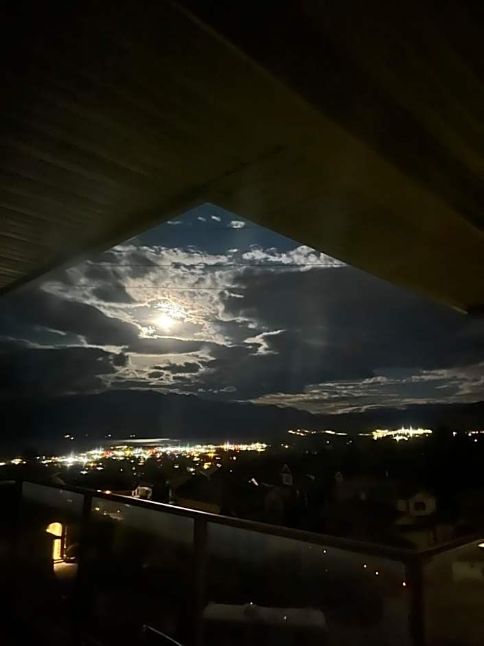 Peaceful and Spacious Lake View