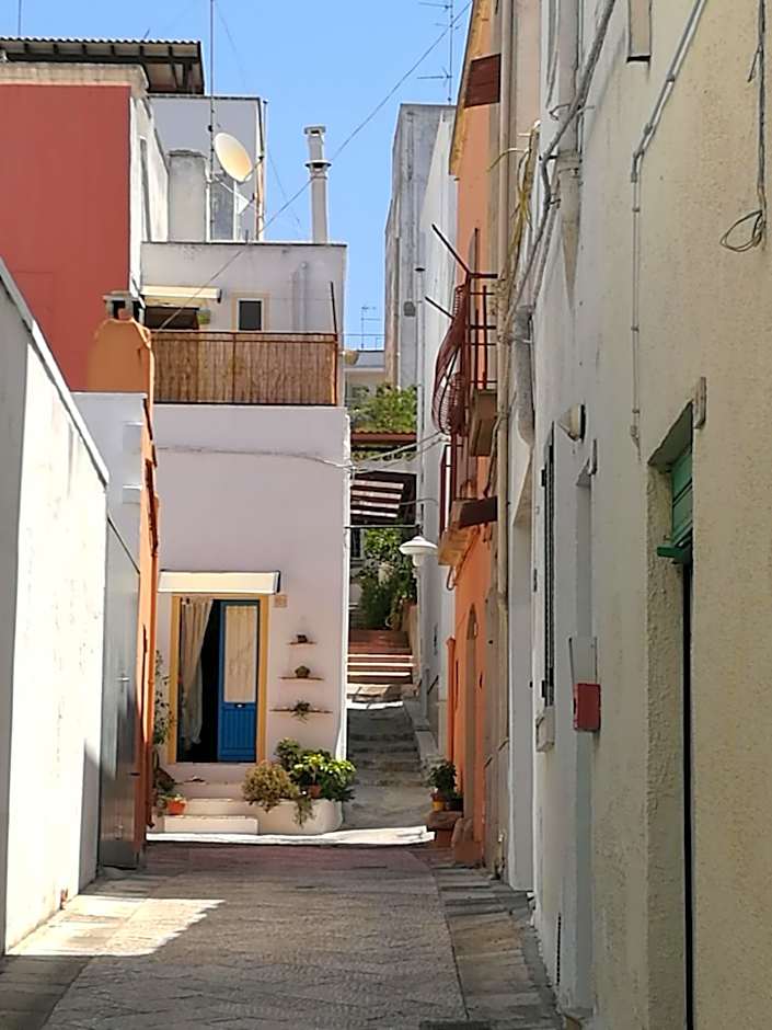 Domus Petrosa