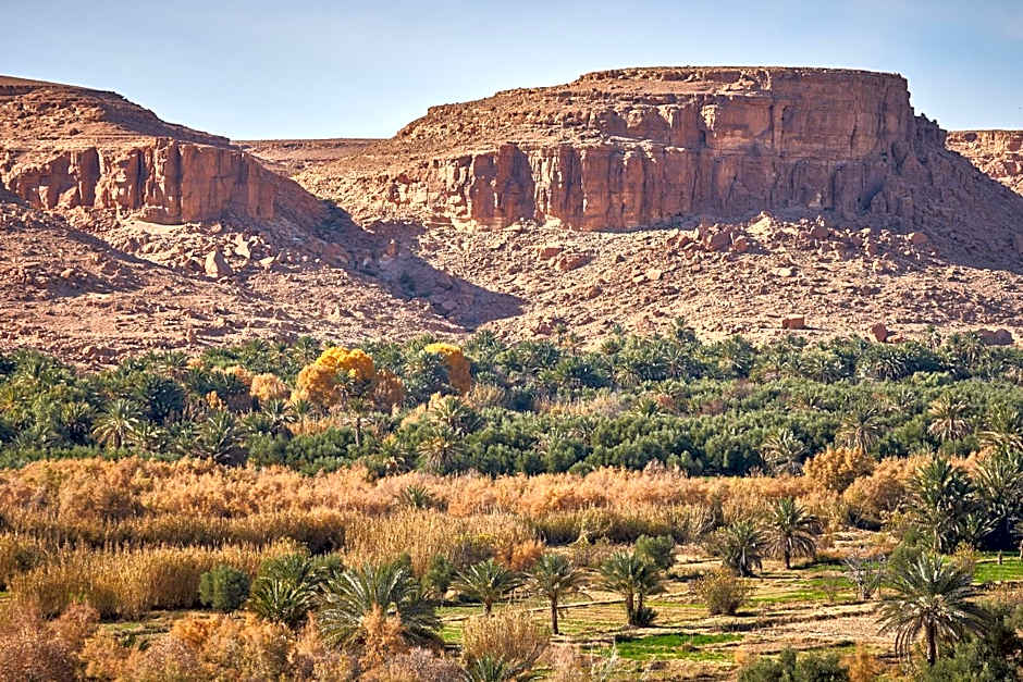Maison D'hotes Sahara