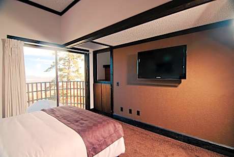 Two Bedroom Standard Twin Condo