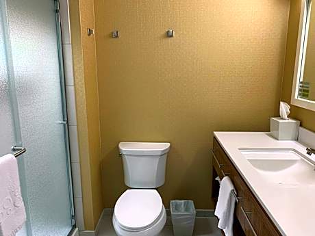 1King Hearing Accessible Suite Nonsmoking