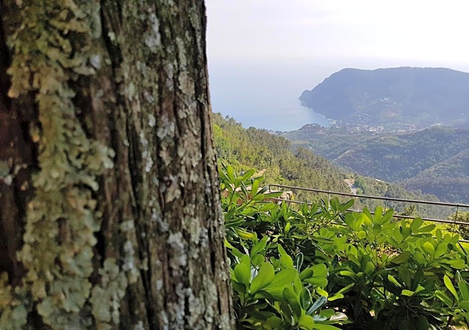 Santuario NS Soviore Cinque Terre