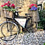 The Rose