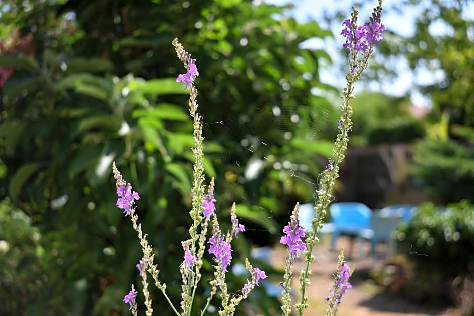 Middle Farm Villa B&B