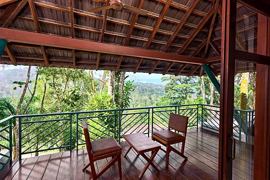 Forest Canopy Resort