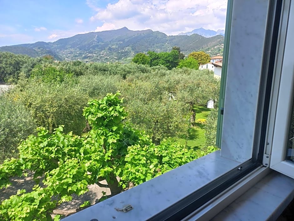 La madonnina