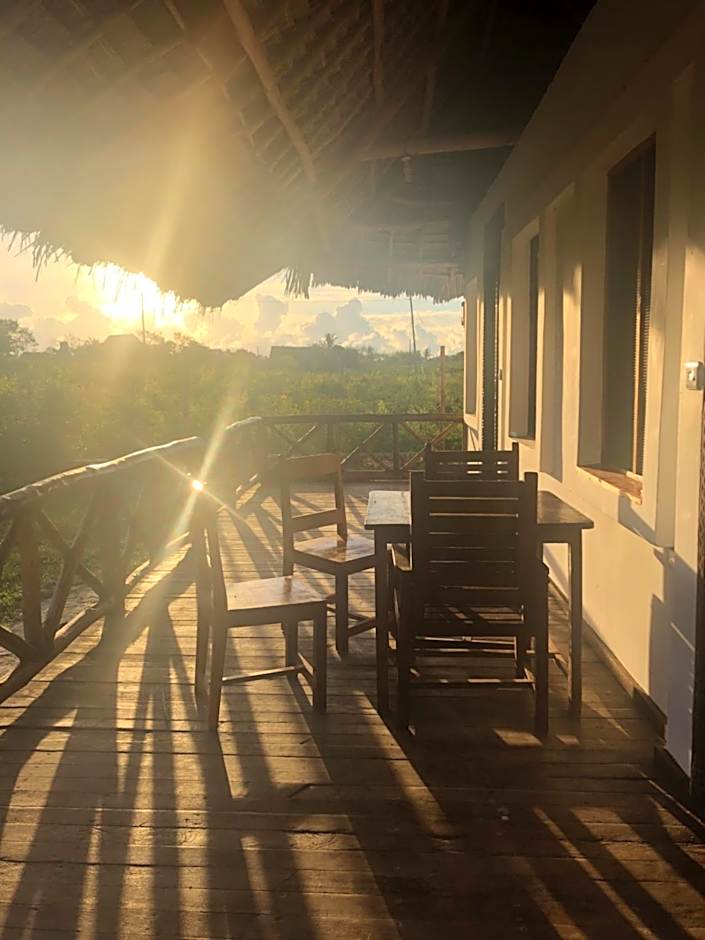 Habibis Bottle House