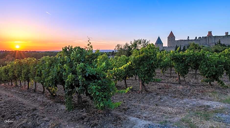Cerise Carcassonne Sud