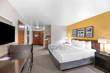 1 King Bed, Nonsmoking, Accessible