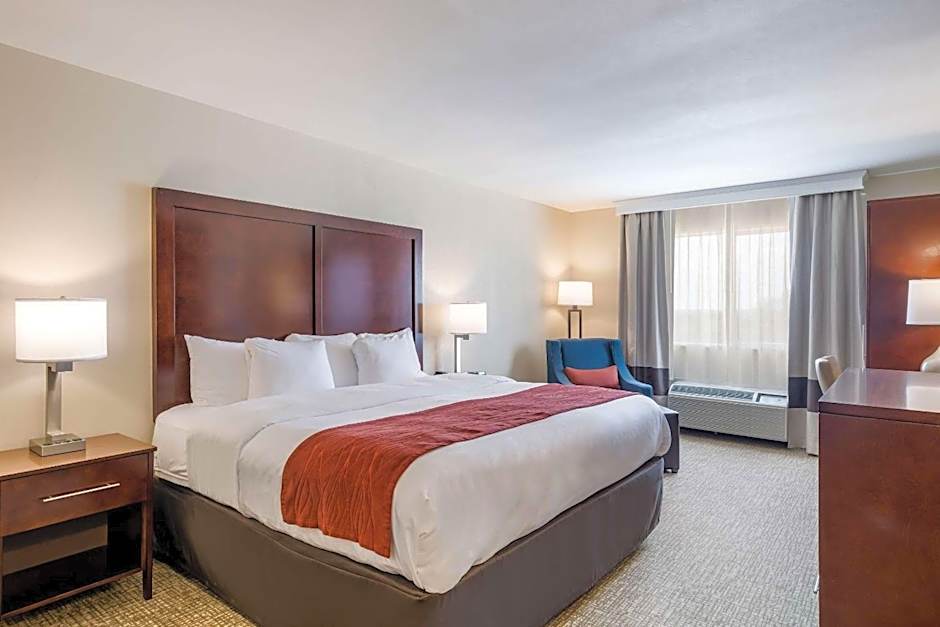 Comfort Inn Bonner Springs Kansas City