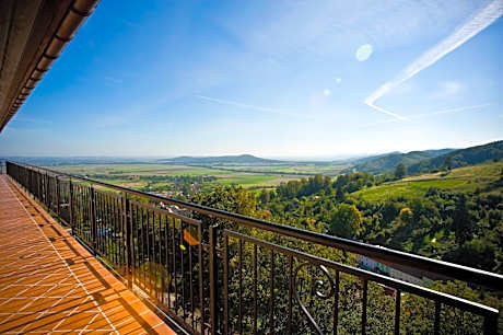 Hotel Srebrna Góra