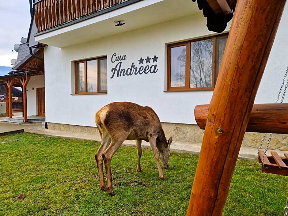 Casa Andreea