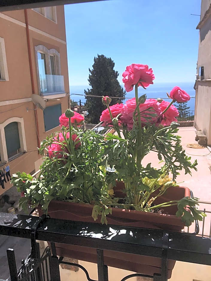B&B Antonella