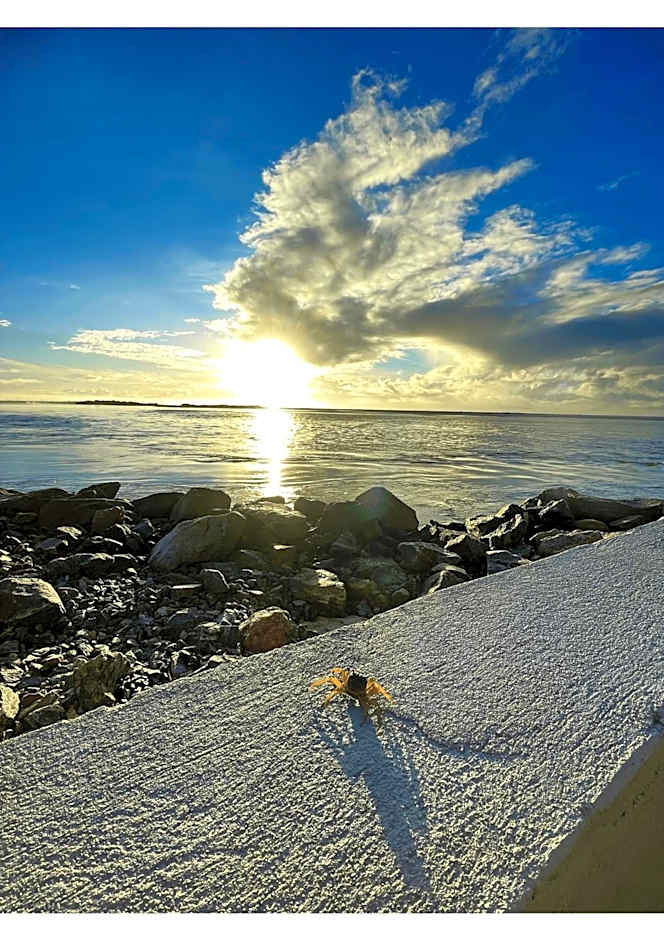 Casa Ilha| beira mar, piscina aquecida, 4 suítes