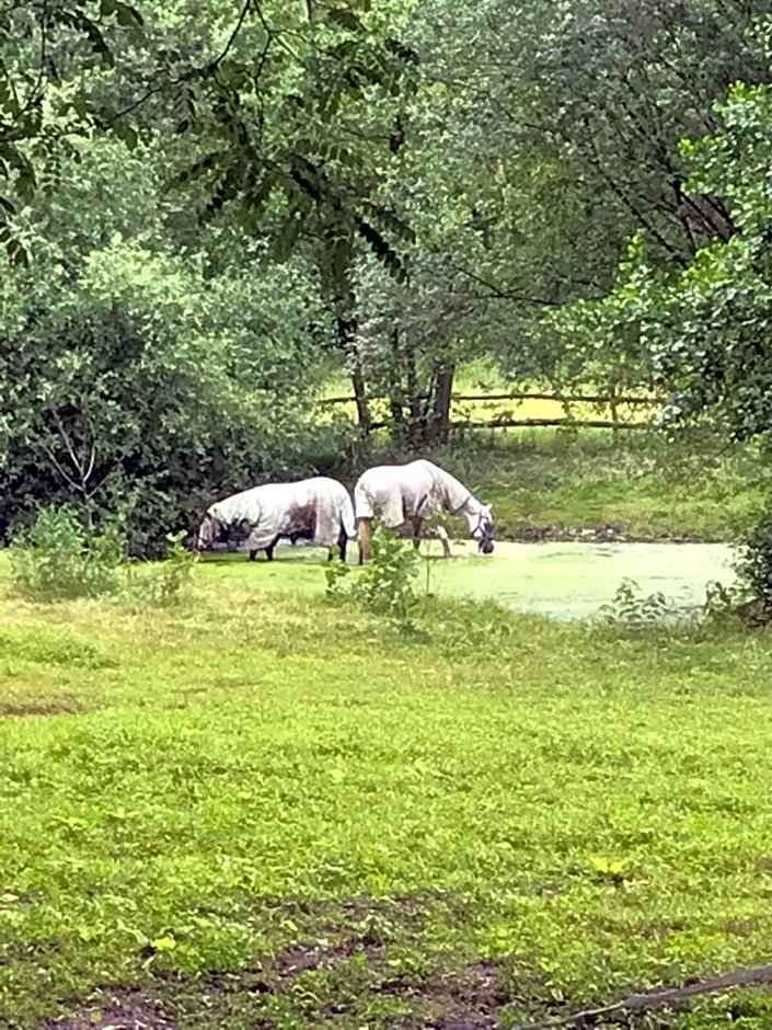 B&B Landgoed Bergerven